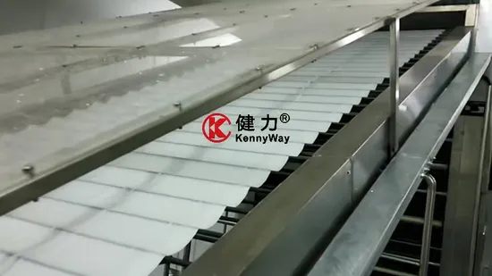 Automated Rice Noodles Production Line for Instant Pho and Rapid Processing 